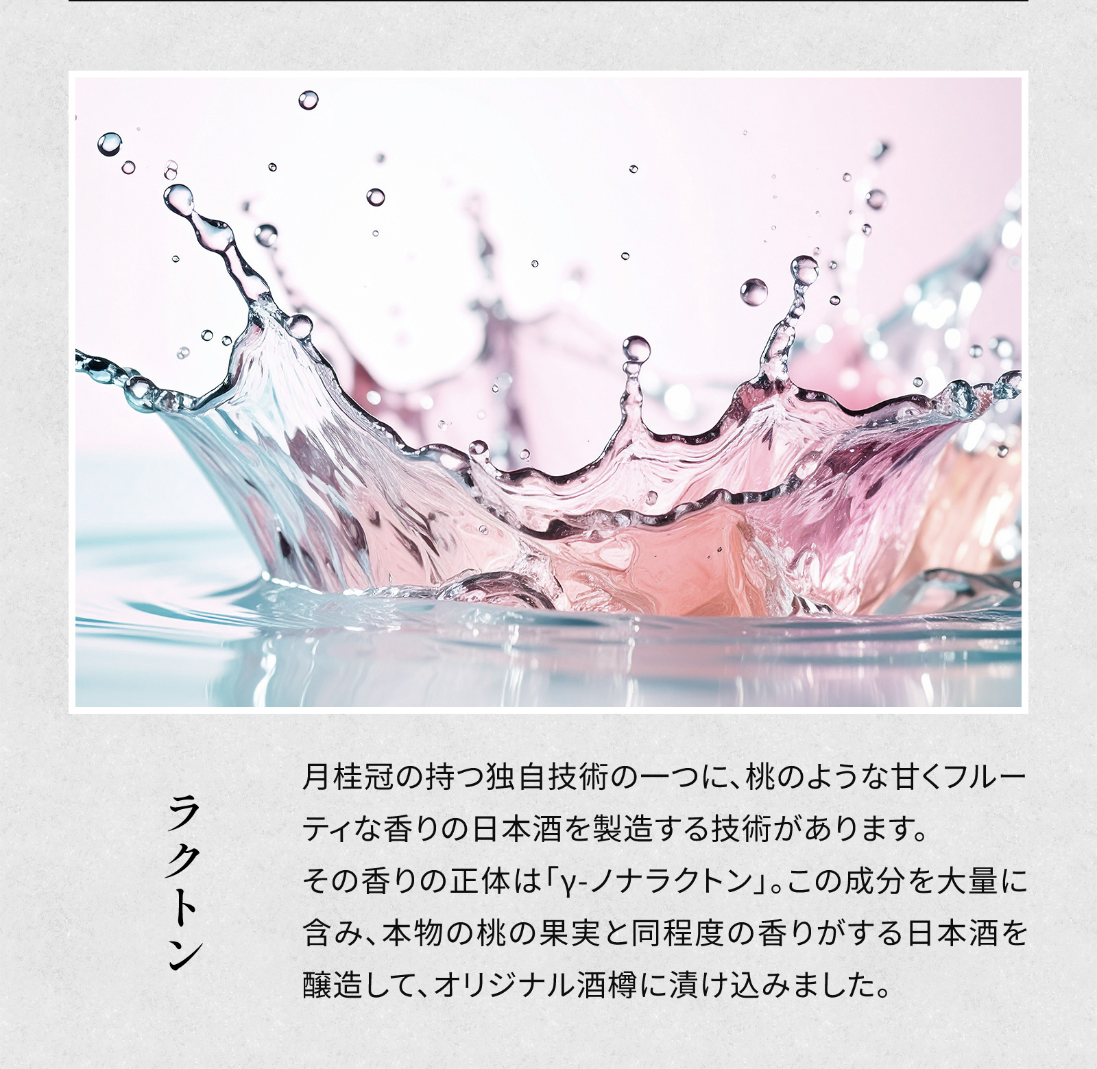 Gekkeikan Studio no.7 720mL壜詰 月桂冠スタジオ