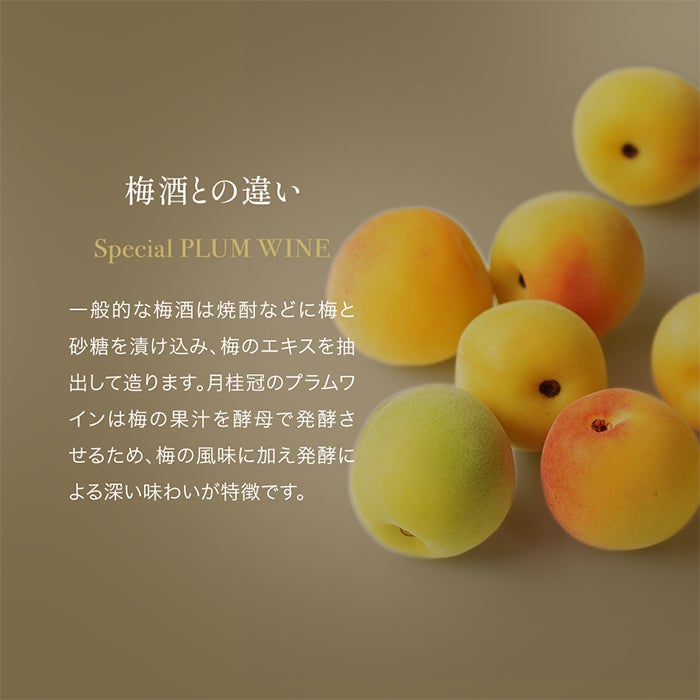 000000000222-03.jpg?size=l&w=