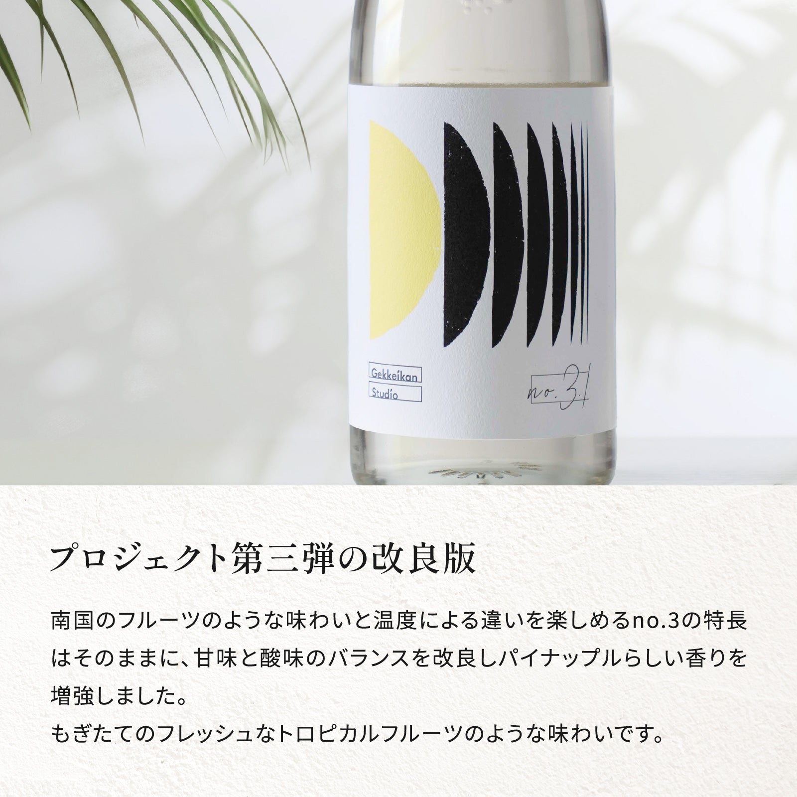 本店限定】Gekkeikan Studiogift set 720mL × 2本 | 京都の日本酒 通販